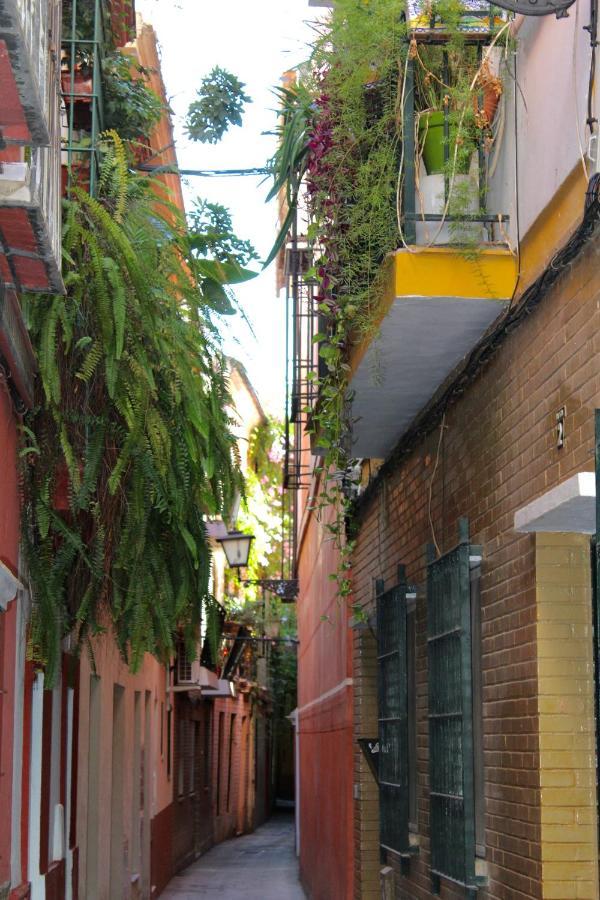Green Street Sevilla Bagian luar foto